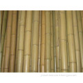 green plastic coated bamboo poles